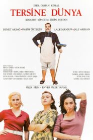 Tersine Dünya 1994 on netflix