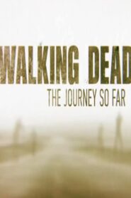 The Walking Dead: The Journey So Far 2016 on netflix