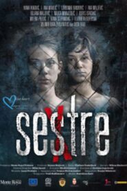 Sisters 2011 on netflix
