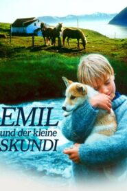The Sky Palace 1994 on netflix