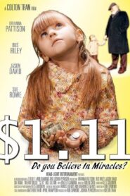$1.11 2008 on netflix