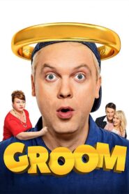 The Groom 2016 on netflix