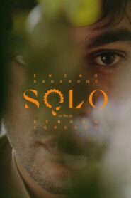 Solo 2020 on netflix