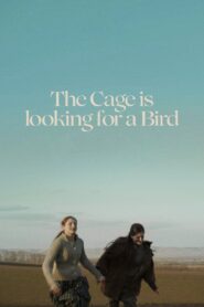 The Cage is Looking for a Bird 2023 on netflix