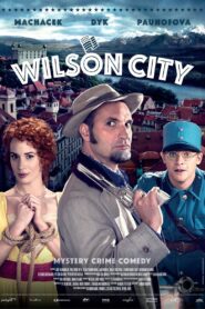 Wilson City 2015 on netflix