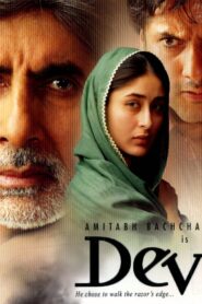 Dev 2004 on netflix