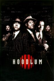 Hoodlum 1997 on netflix