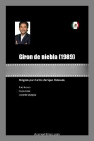 Jirón de niebla 1989 on netflix