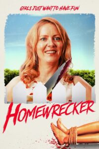 Homewrecker 2020 on netflix