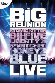 The Big Reunion Live 2013 on netflix