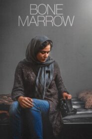 Bone Marrow 2020 on netflix