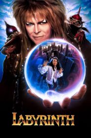 Labyrinth 1986 on netflix