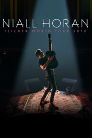 Niall Horan: Flicker World Tour 2018 on netflix