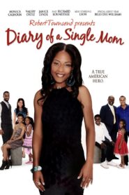 Diary of a Single Mom 2009 on netflix