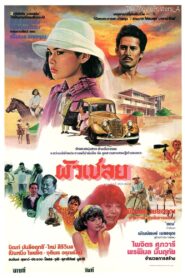 ผัวเชลย 1984 on netflix