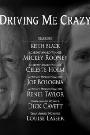 Driving Me Crazy 2012 on netflix