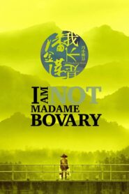 I Am Not Madame Bovary 2016 on netflix