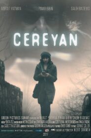 Cereyan 2017 on netflix