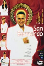 San Bernardo 2000 on netflix