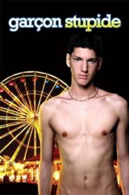 Stupid Boy 2004 on netflix