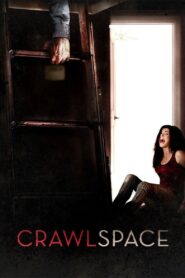 Crawlspace 2013 on netflix