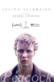 Peacock 2024 on netflix