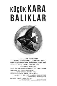 Little Black Fishes 2013 on netflix