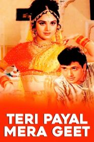 Teri Payal Mere Geet 1993 on netflix
