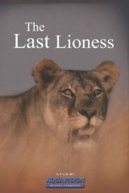 The Last Lioness 2009 on netflix