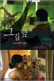 Invisible Light 2003 on netflix