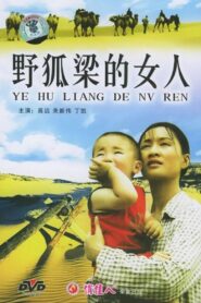 野狐梁的女人 2004 on netflix