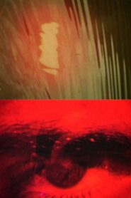 Royaume 1991 on netflix