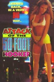 Attack of the 50 Foot Hooker 1994 on netflix