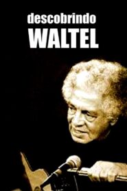 Descobrindo Waltel 2005 on netflix