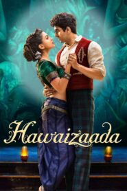 Hawaizaada 2015 on netflix