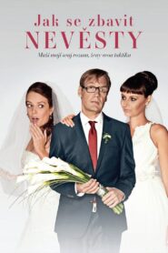 Jak se zbavit nevěsty 2016 on netflix