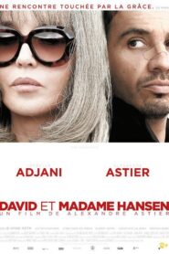 David et Madame Hansen 2012 on netflix