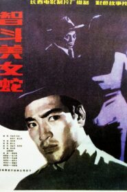 智斗美女蛇 1984 on netflix