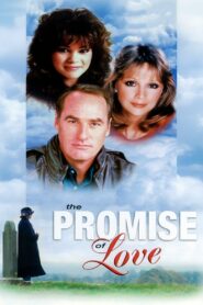The Promise of Love 1980 on netflix