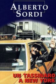 A Taxi Driver in New York 1987 on netflix
