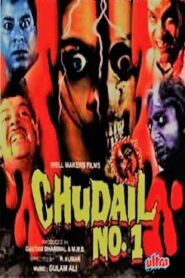 Chudail No. 1 1999 on netflix