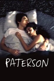 Paterson 2016 on netflix
