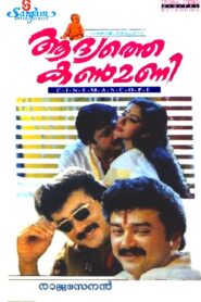 Aadyathe Kanmani 1995 on netflix
