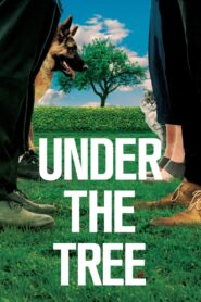 Under the Tree 2017 on netflix