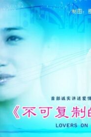 不可复制的恋人 2010 on netflix