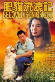 The Beloved Son of God 1988 on netflix