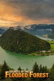 Secrets of the Flooded Forest – Danube National Park 2011 on netflix