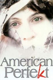 American Perfekt 1997 on netflix