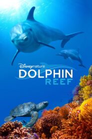 Dolphin Reef 2018 on netflix