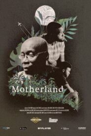 Motherland 2020 on netflix